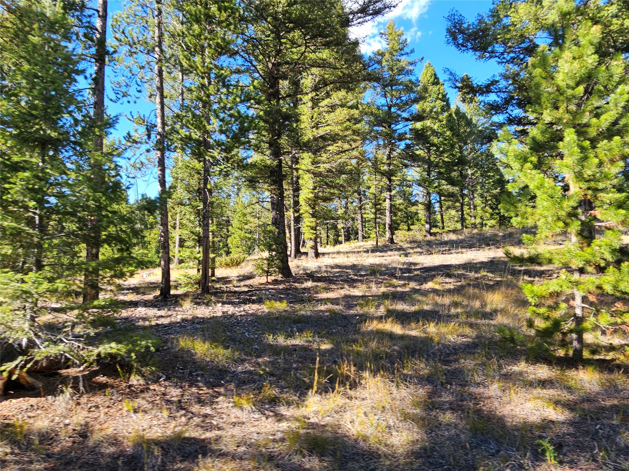 161 Powder Horn Road Helmville, MT 59843 - Photo 35 of 39 Gallery Image 35