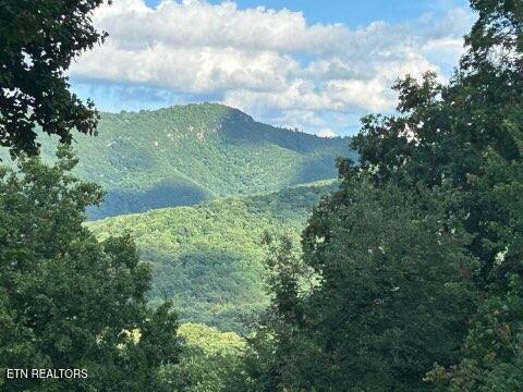 1016 Country Mountain Road Cosby, TN 37722 - Photo 38 of 46 IMG_9921