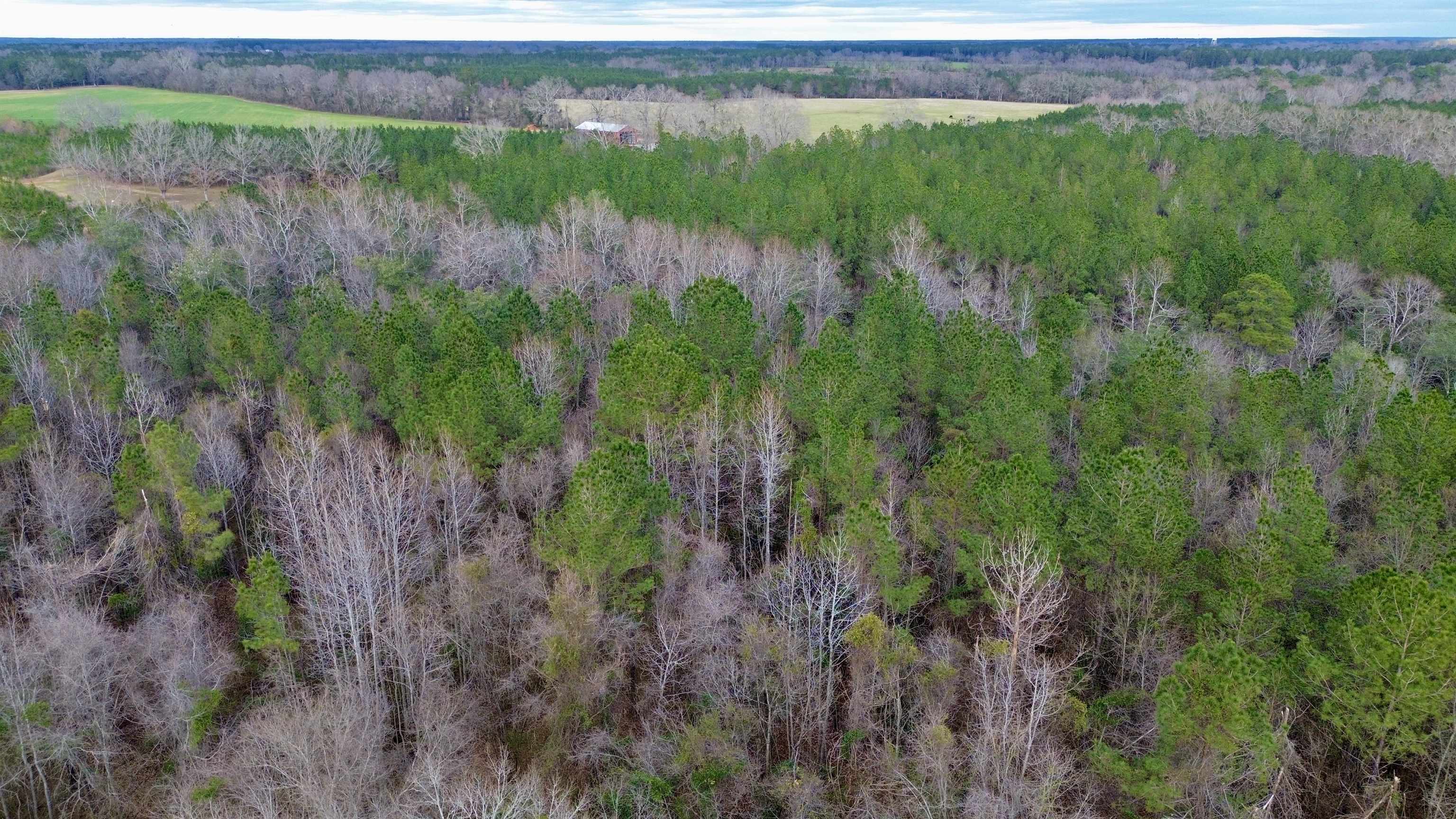 0 James Brooks Road Atmore, AL 36502 - Photo 12 of 16 Aerial View