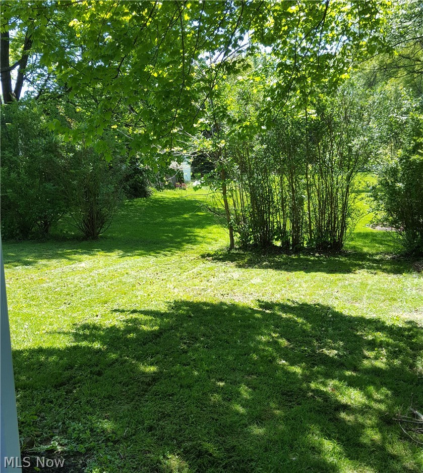 1896 Faye Road Akron, OH 44306 - Photo 24 of 24 Backyard