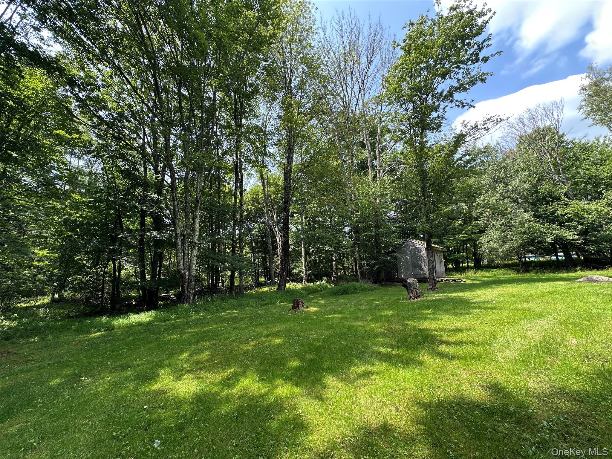 81 Lindholm Road Loch Sheldrake, NY 12759 - Photo 25 of 32 Gallery Image 25