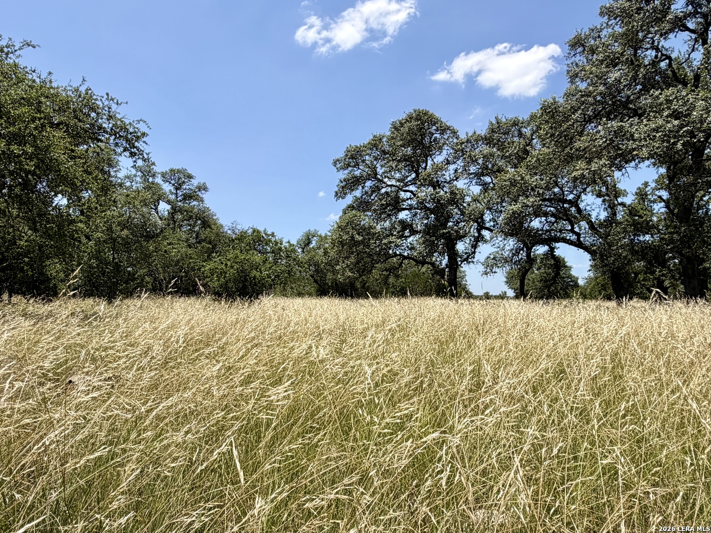 43-acres Sattler Road Spring Branch, TX 78070 - Photo 26 of 42 Gallery Image 26