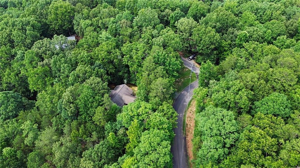 1240 Camp Branch Road Ellijay, GA 30540 - Photo 33 of 38