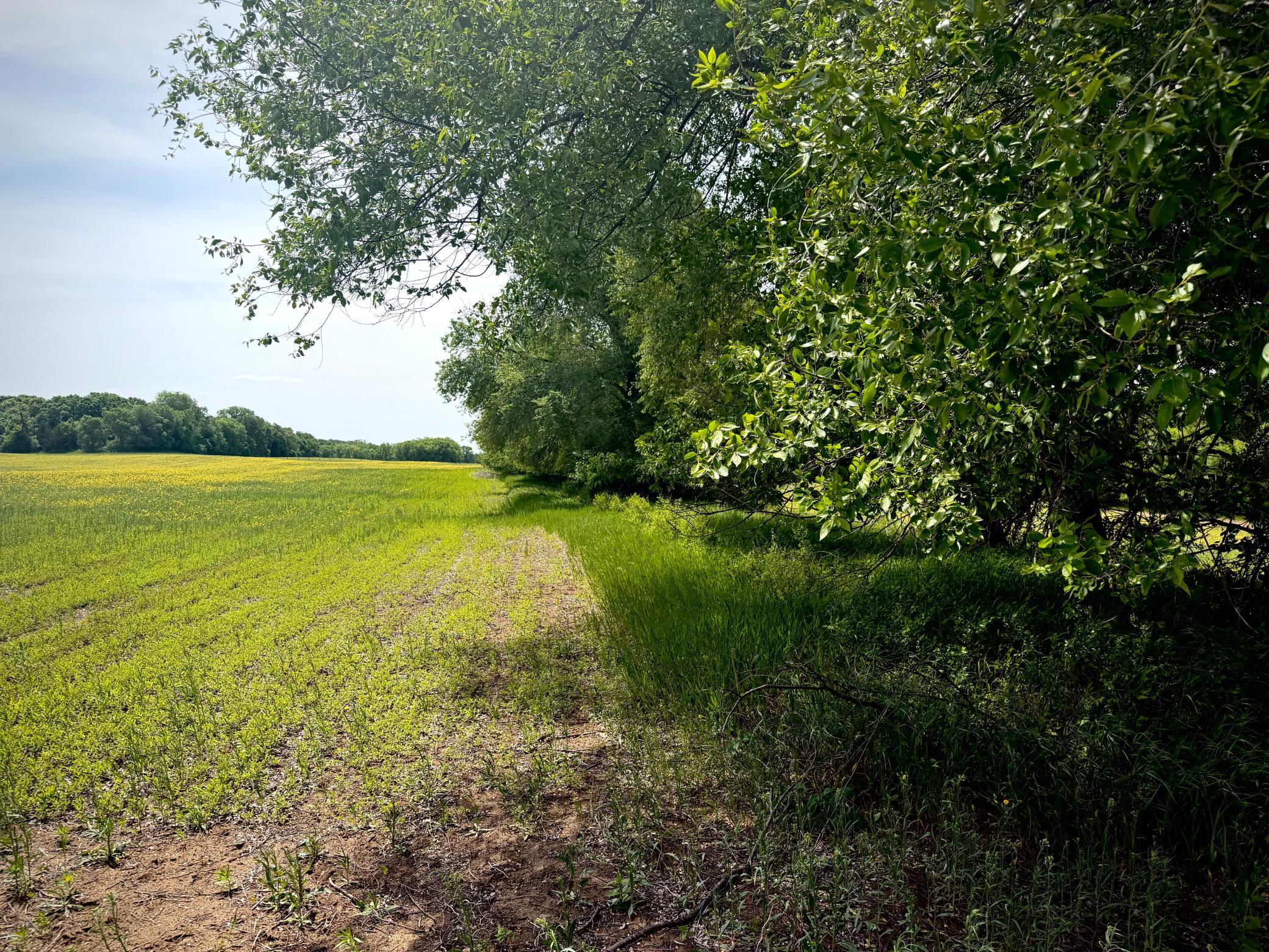 Tbd-10-ac 87th Street Southeast Becker, MN 55308 - Photo 9 of 23