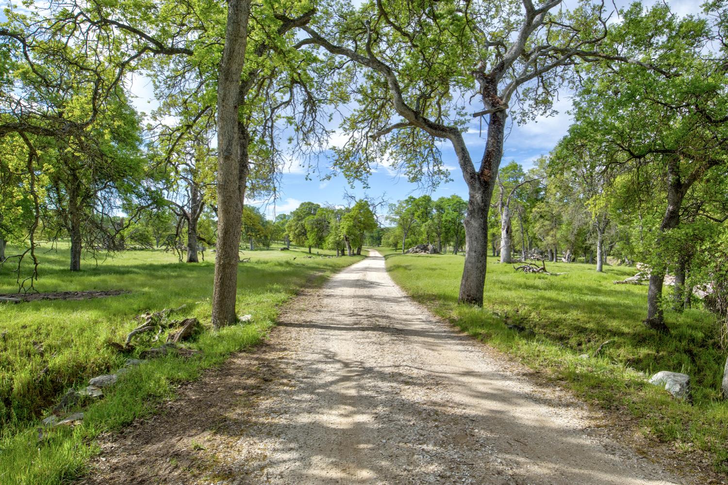 1985 White Rock Road Le Grand, CA 95333 - Photo 54 of 93