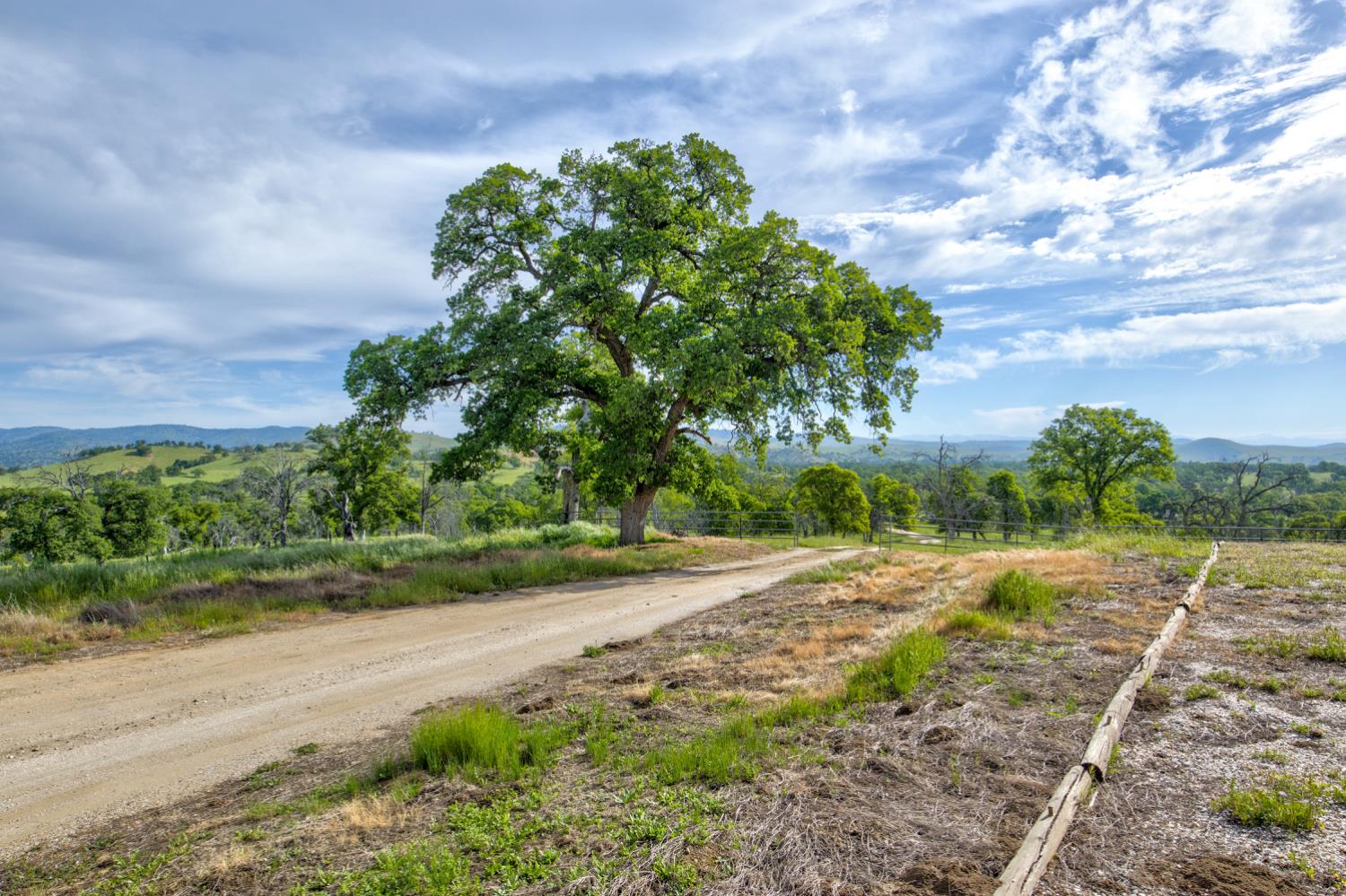 1985 White Rock Road Le Grand, CA 95333 - Photo 58 of 93