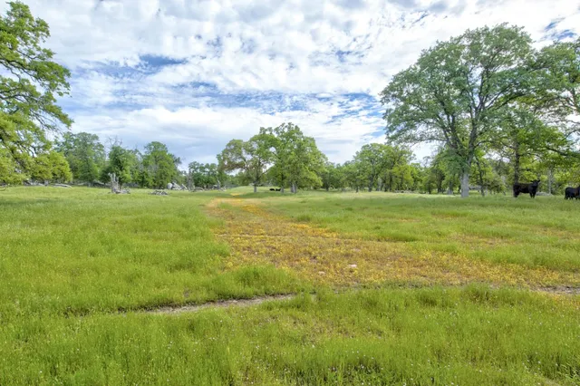 $3,499,000 | 1985 White Rock Road, Le Grand, CA 95333