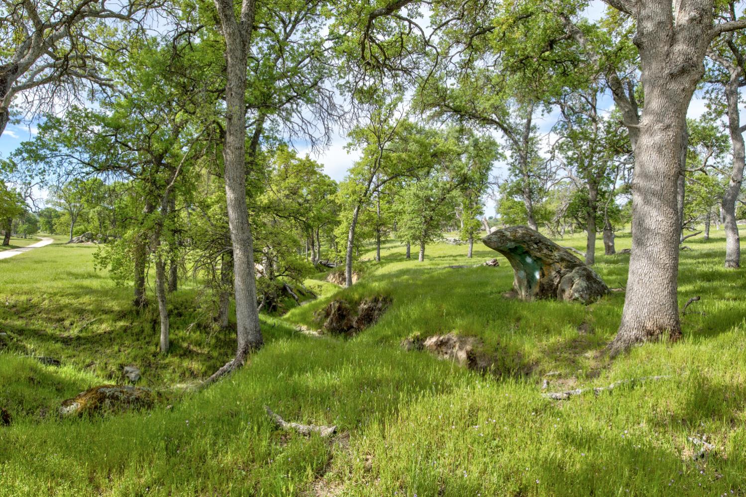 1985 White Rock Road Le Grand, CA 95333 - Photo 70 of 93