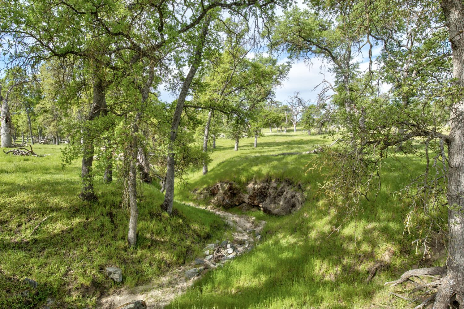 1985 White Rock Road Le Grand, CA 95333 - Photo 71 of 93