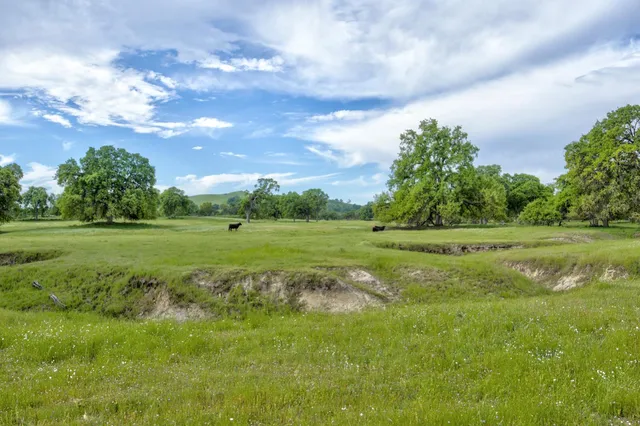 $3,499,000 | 1985 White Rock Road, Le Grand, CA 95333