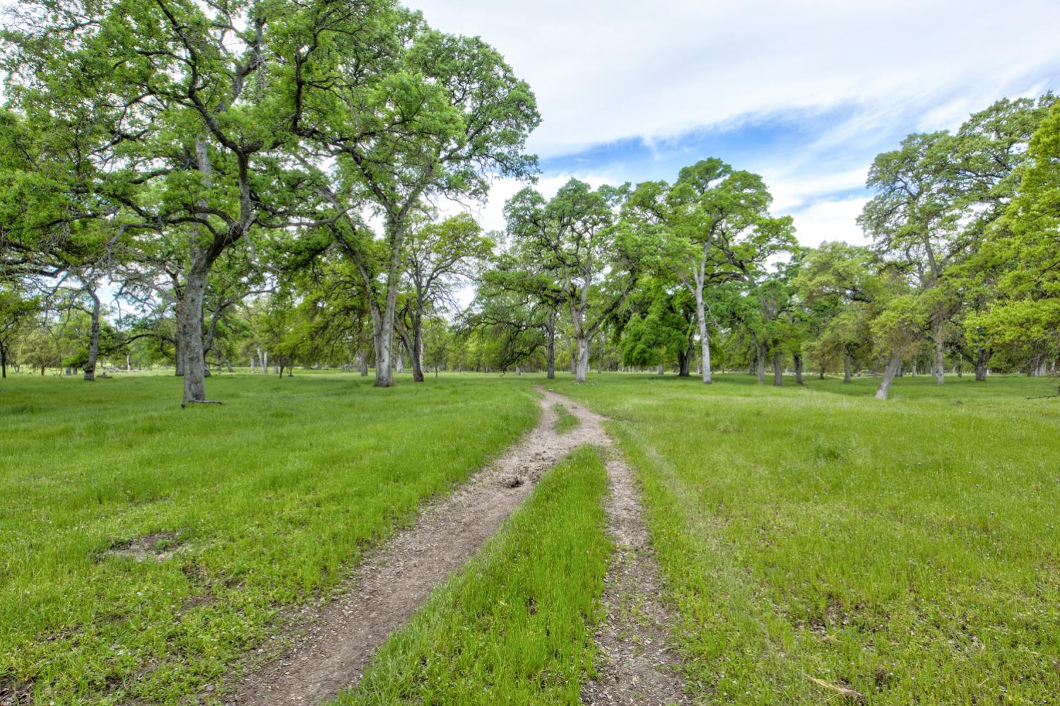 1985 White Rock Road Le Grand, CA 95333 - Photo 75 of 93