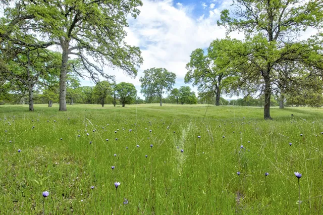 $3,499,000 | 1985 White Rock Road, Le Grand, CA 95333