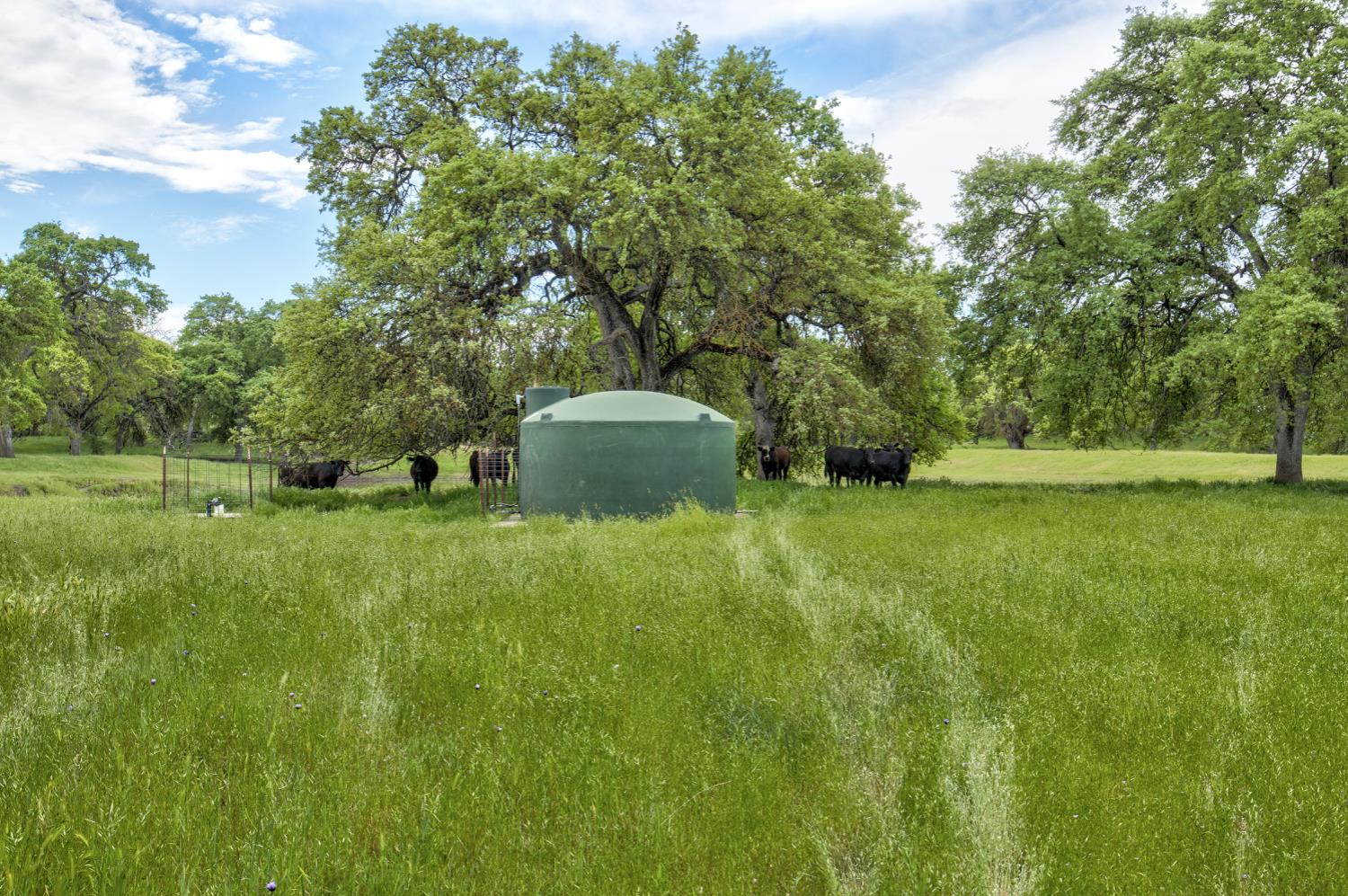 1985 White Rock Road Le Grand, CA 95333 - Photo 77 of 93