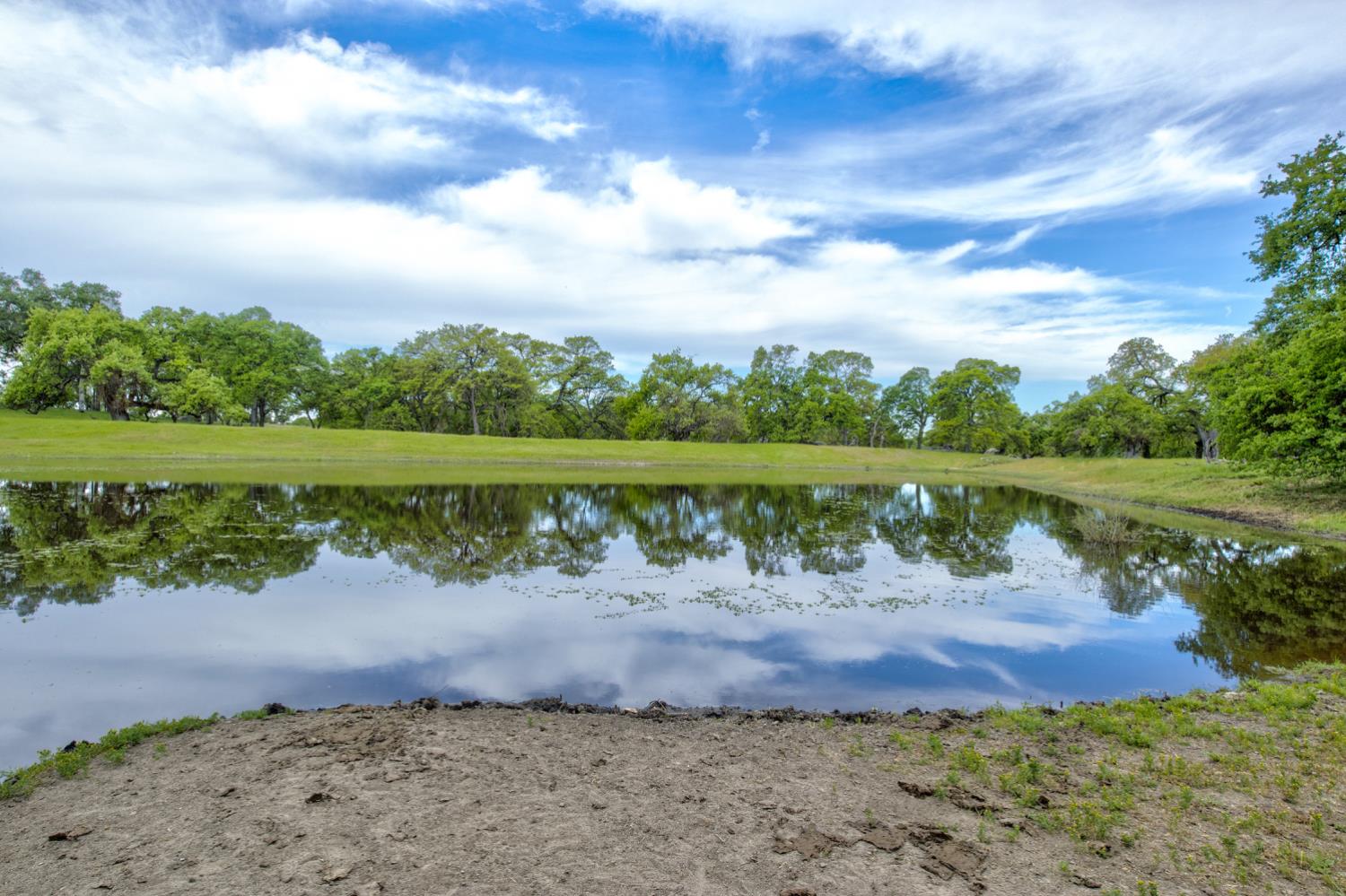 1985 White Rock Road Le Grand, CA 95333 - Photo 80 of 93