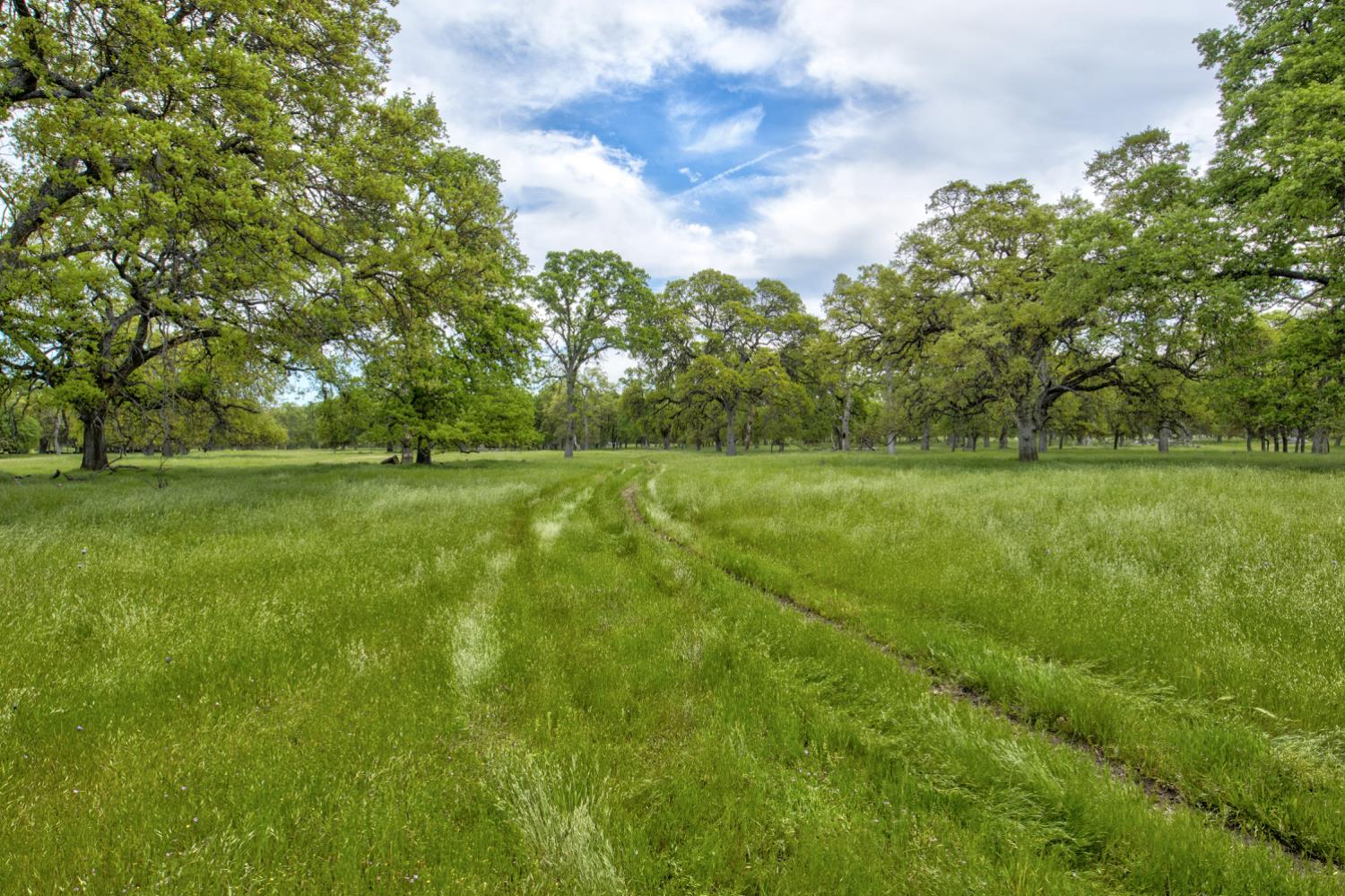 1985 White Rock Road Le Grand, CA 95333 - Photo 81 of 93
