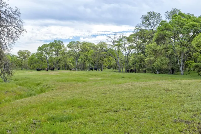 $3,499,000 | 1985 White Rock Road, Le Grand, CA 95333