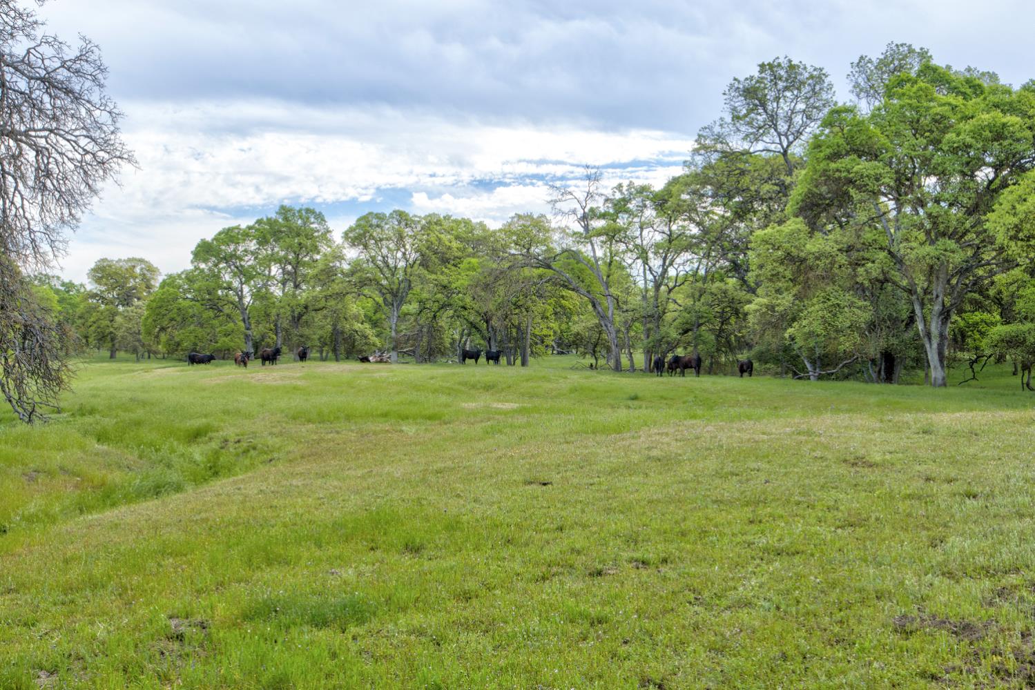 1985 White Rock Road Le Grand, CA 95333 - Photo 83 of 93