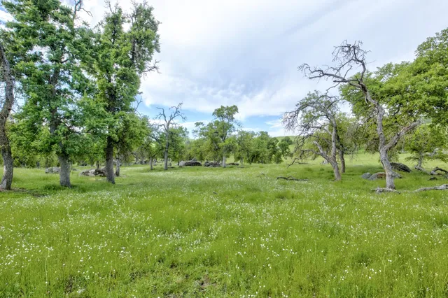 $3,499,000 | 1985 White Rock Road, Le Grand, CA 95333