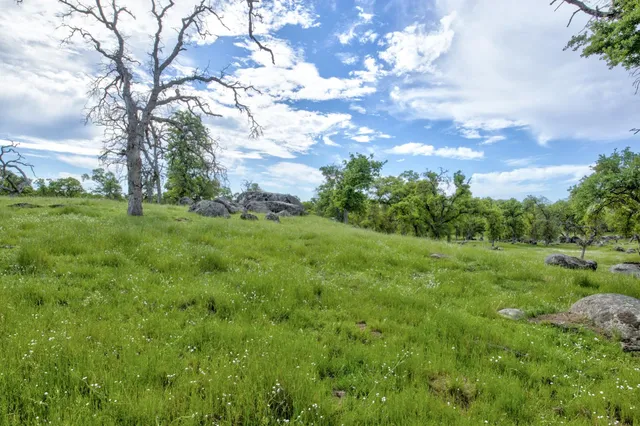 $3,499,000 | 1985 White Rock Road, Le Grand, CA 95333