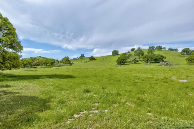 $3,499,000 | 1985 White Rock Road, Le Grand, CA 95333