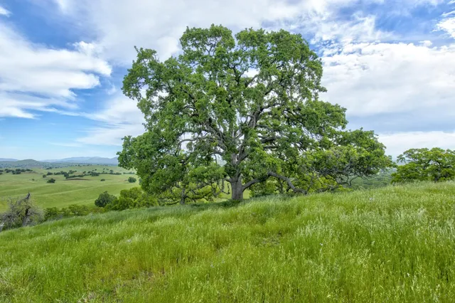 $3,499,000 | 1985 White Rock Road, Le Grand, CA 95333