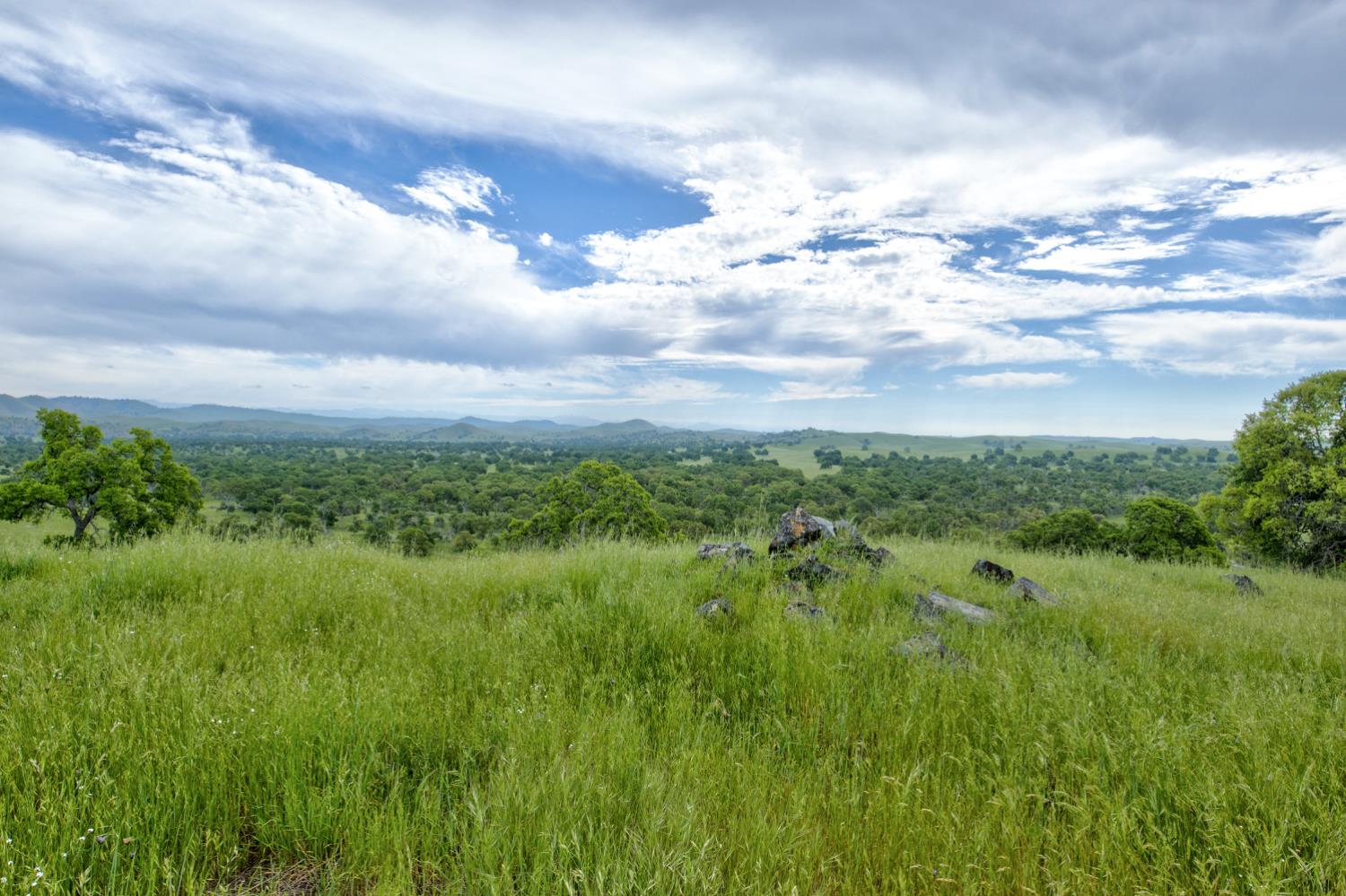 1985 White Rock Road Le Grand, CA 95333 - Photo 90 of 93