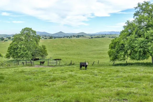 $3,499,000 | 1985 White Rock Road, Le Grand, CA 95333
