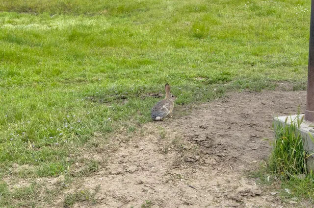 $3,499,000 | 1985 White Rock Road, Le Grand, CA 95333