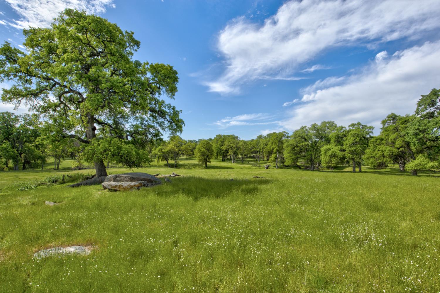 1985 White Rock Road Le Grand, CA 95333 - Photo 93 of 93