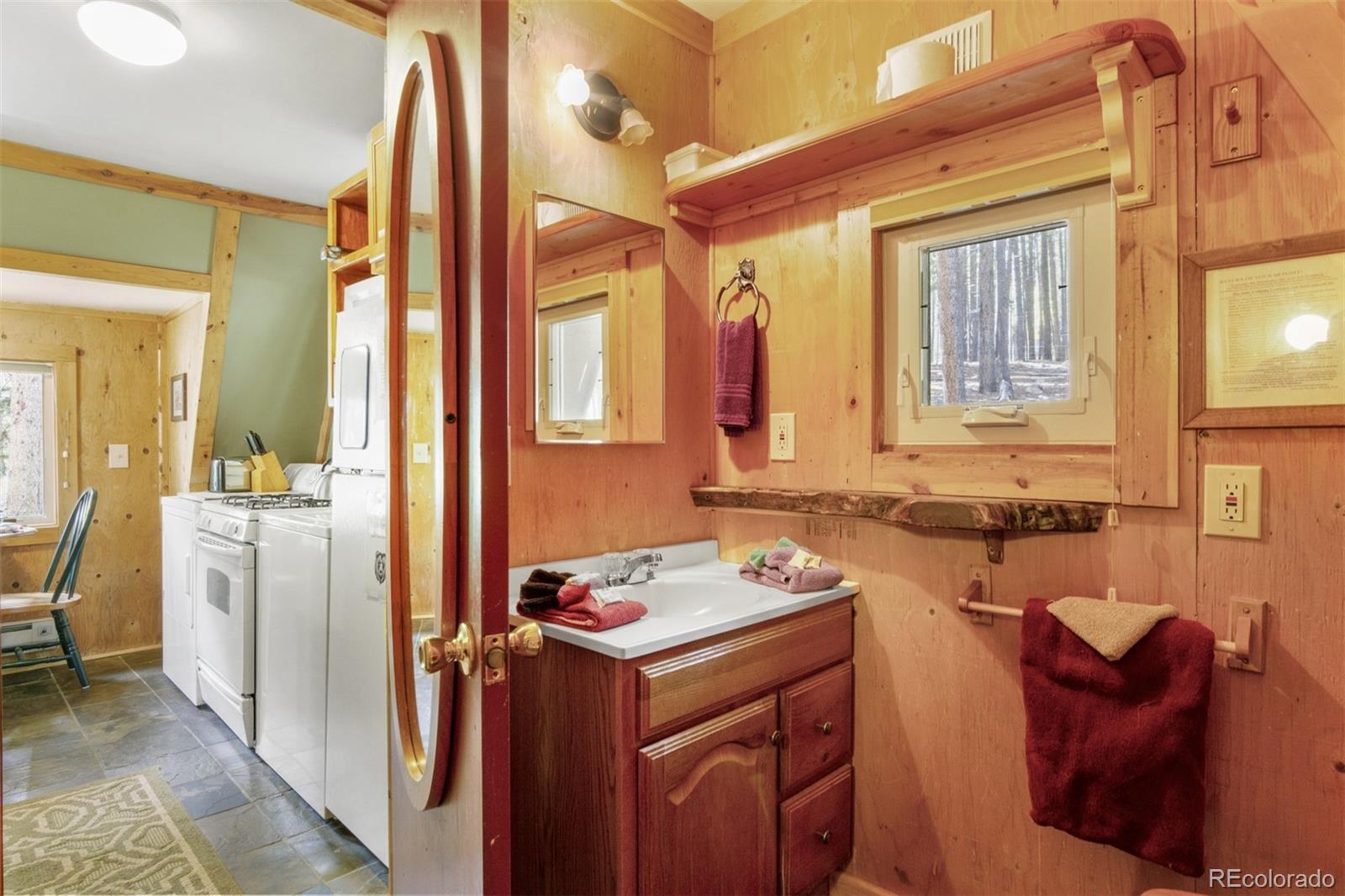 319 Deer Road Evergreen, CO 80439 - Photo 9 of 17 Gallery Image 9
