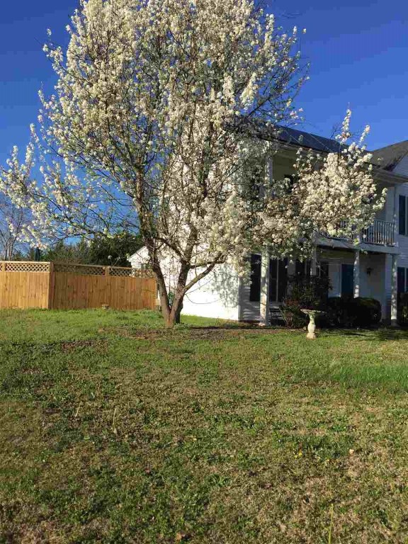 102 Blueberry Lane Pendleton, SC 29670 - Photo 2 of 25