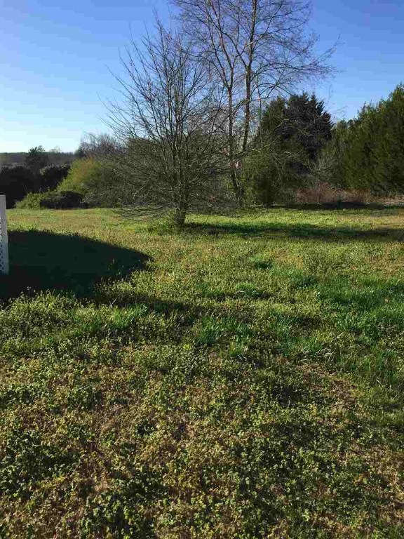 102 Blueberry Lane Pendleton, SC 29670 - Photo 6 of 25