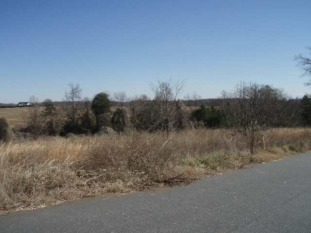 227 Abners Trail Road, Unit LOT 10 Greer, SC 29651 - Photo 3 of 3 Gallery Image 3