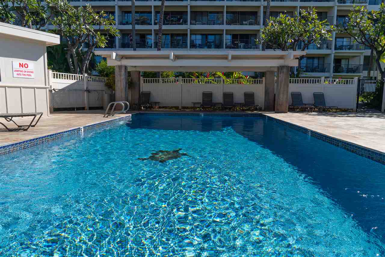 2531 South Kihei Road, Unit DG06 Kihei, HI 96753 - Photo 2 of 16 a front view of a house with a yard