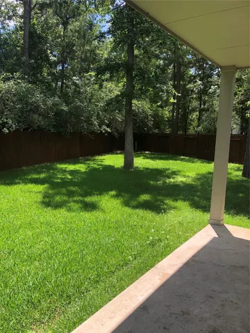 a view of a garden with large trees