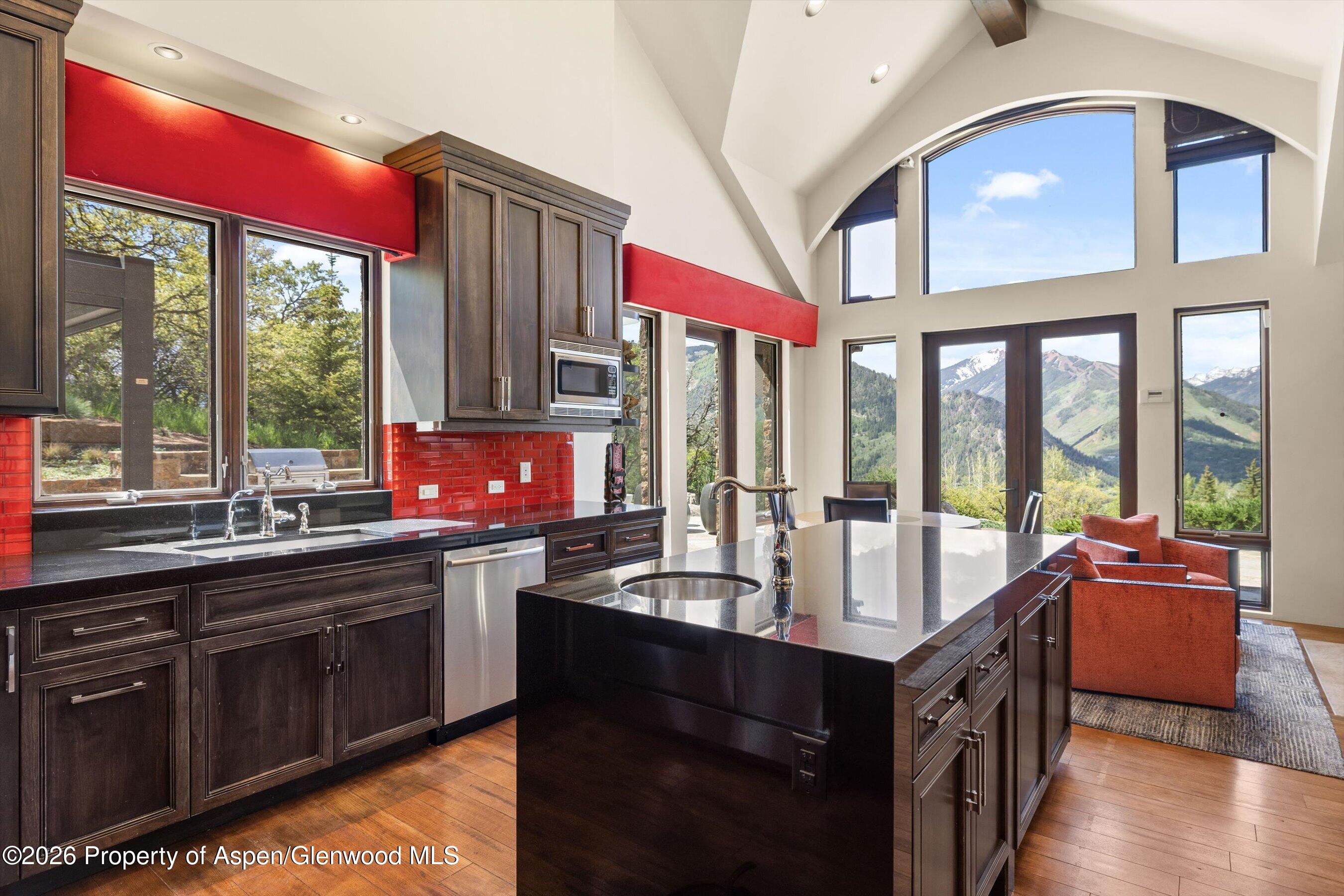 1682 Red Mountain Road Aspen, CO 81612 - Photo 9 of 42 Kitchen with View