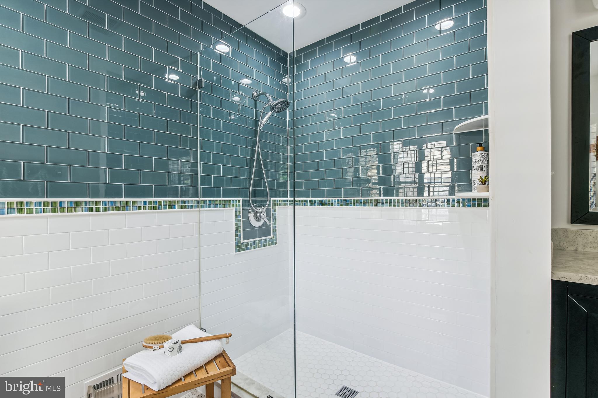 4508 4th Road North Arlington, VA 22203 - Photo 26 of 48 Primary Bath
