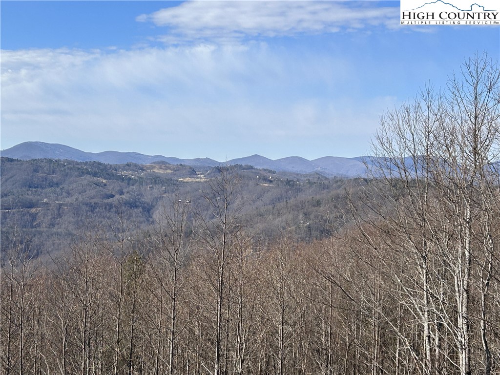 Angelfire Trail Deep Gap, NC 28618 - Photo 23 of 23 a view of a dry field