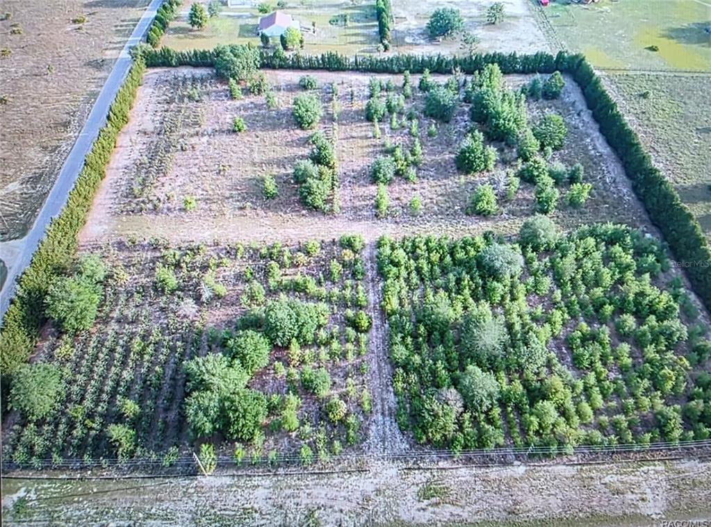 6719 South Georgian Road Homosassa, FL 34446 - Photo 2 of 2