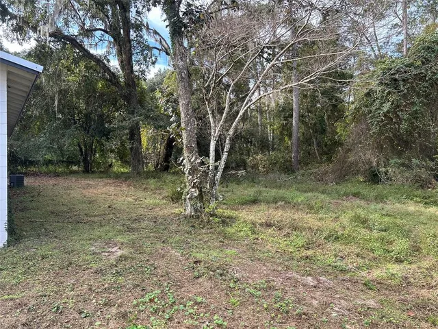 a view of a forest with trees in the background