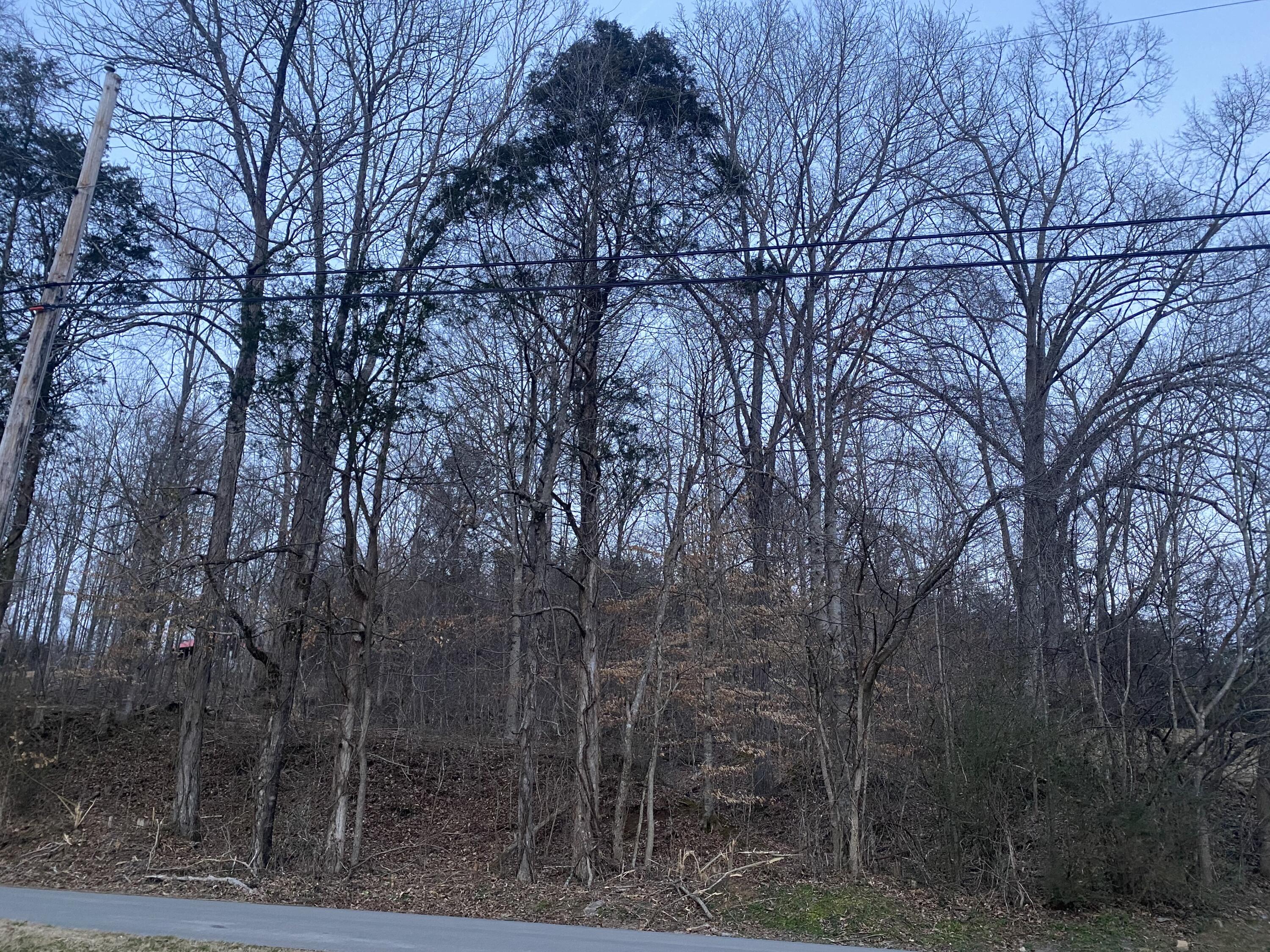 488 Fall Creek Road Maynardville, TN 37807 - Photo 3 of 4 IMG_3751