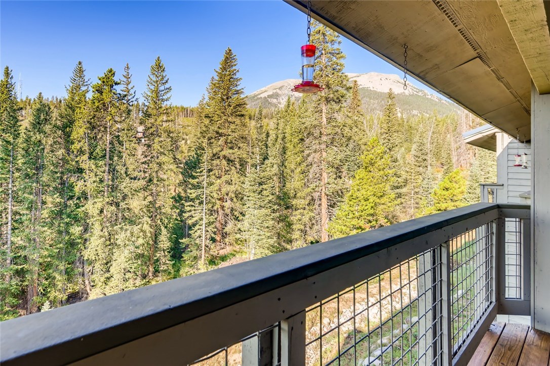91499 Ryan Gulch Road, Unit B2 Silverthorne, CO 80498 - Photo 23 of 28 Gallery Image 23