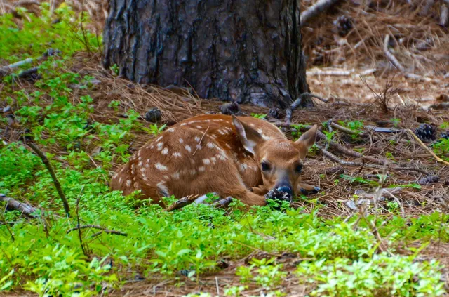 $765,000 | 741 Glenna Drive, Hudson, WI 54016