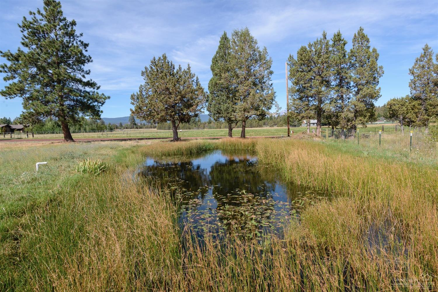 64460 Rock Springs Road Bend, OR 97703 - Photo 7 of 16 Additional Photo