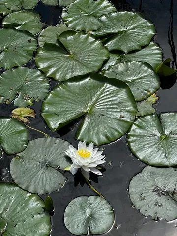 $499,000 | N5978 West Alaska Lake Road, Kewaunee, WI 54216