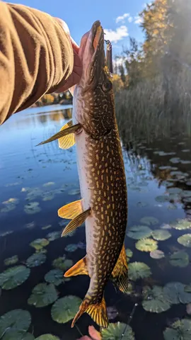 $499,000 | N5978 West Alaska Lake Road, Kewaunee, WI 54216