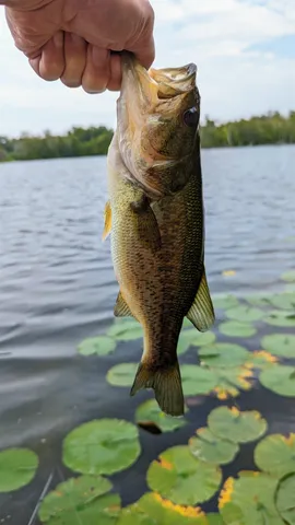 $499,000 | N5978 West Alaska Lake Road, Kewaunee, WI 54216