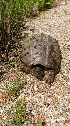 $499,000 | N5978 West Alaska Lake Road, Kewaunee, WI 54216