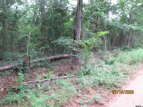$11,000 | 586 Crescent, Bullard, TX 75757