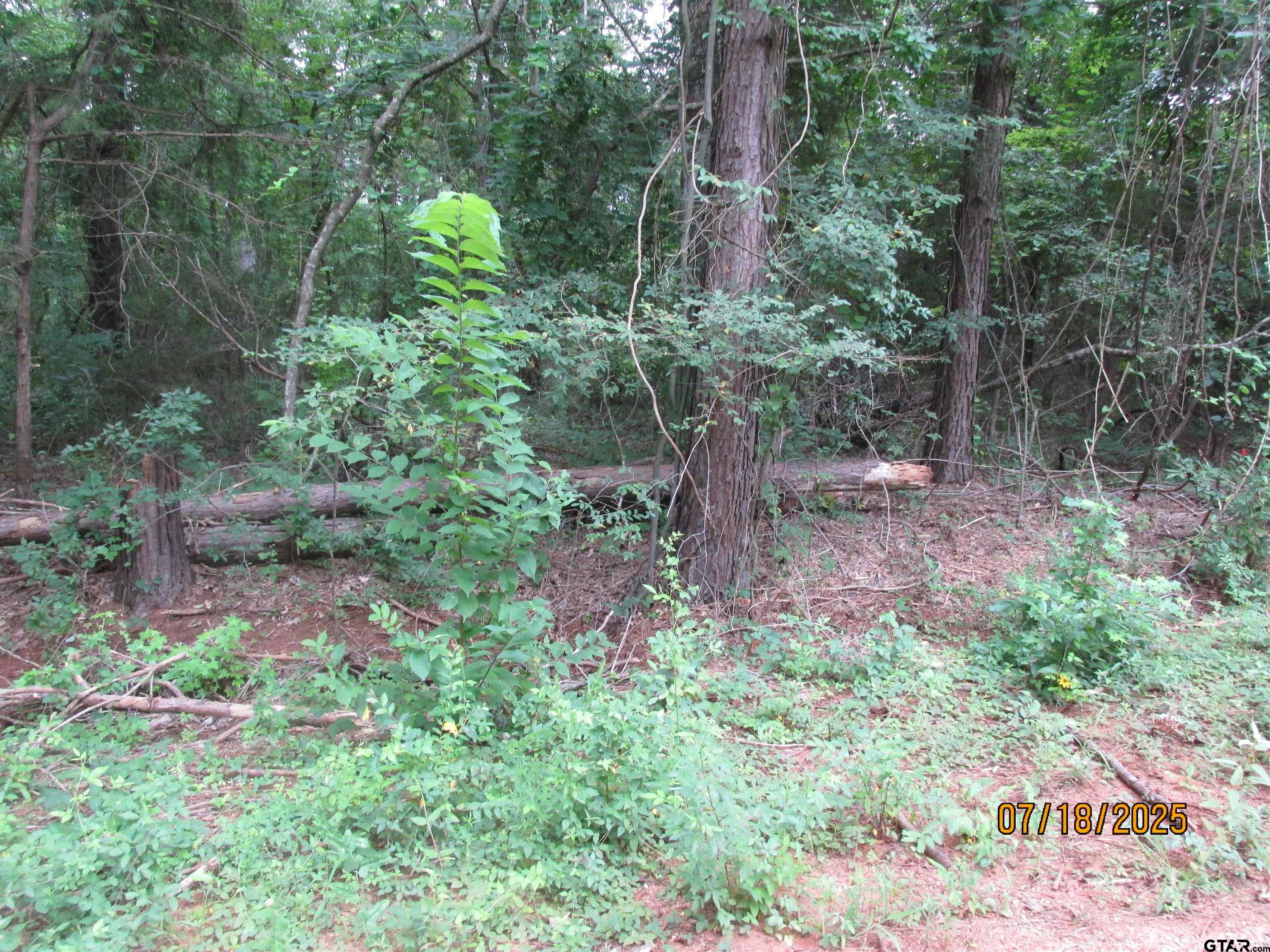 586 Crescent Bullard, TX 75757 - Photo 2 of 7